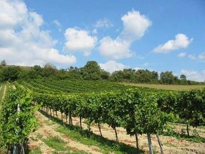 背上行囊，讓心去旅行：全球最吸引人的20個旅游目的地