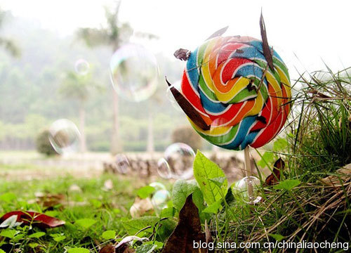 寶島臺灣過新年，體驗(yàn)臺北平民的時(shí)尚生活