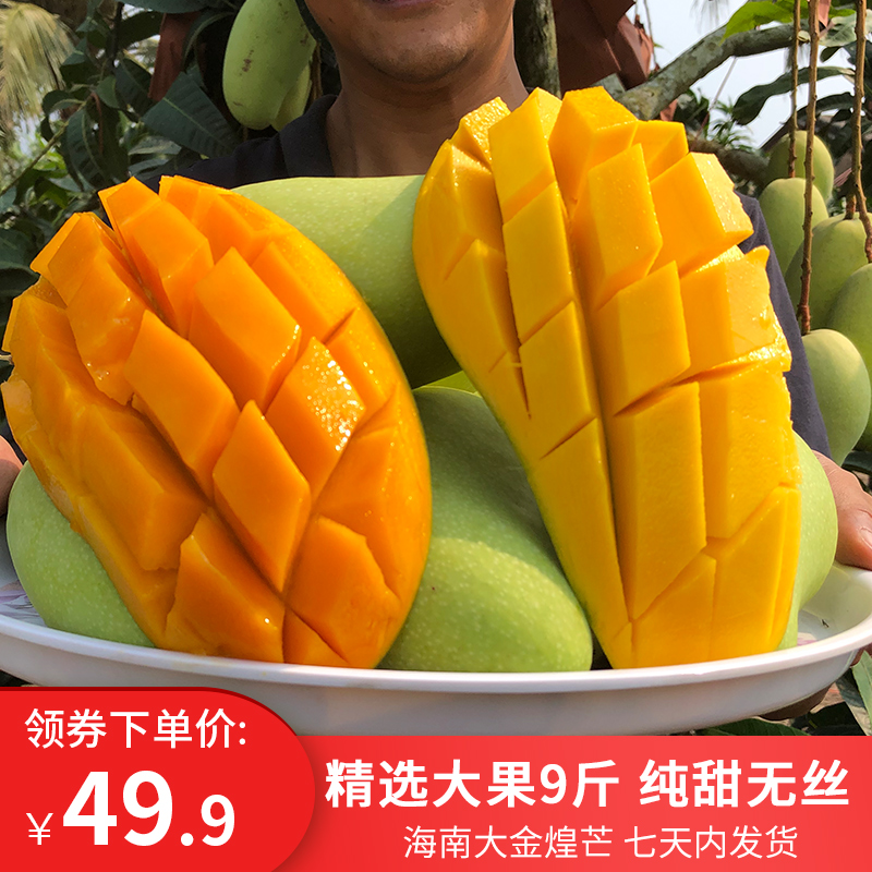 海南三亚金煌芒水仙芒新鲜水果大芒果9斤 净果包邮金皇芒大果纯甜-选品库-美视角-网红自媒体平台-重庆果实电子科技有限公司